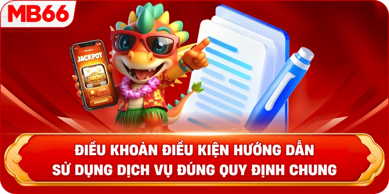 Điều Khoản Điều Kiện hướng dẫn sử dụng dịch vụ đúng quy định chung