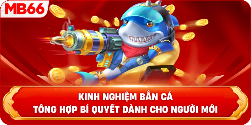 Kinh nghiệm bắn cá tổng hợp bí quyết dành cho người mới