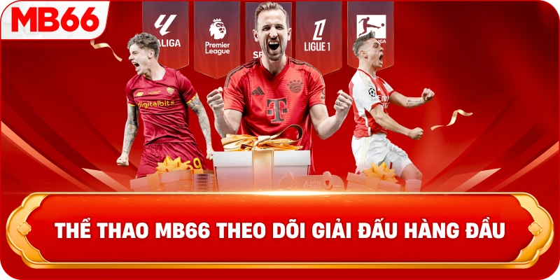 Thể thao MB66 theo dõi giải đấu hàng đầu